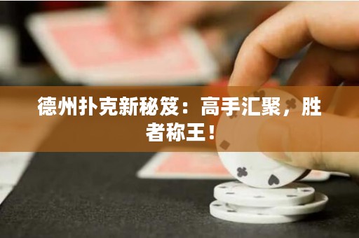 德州撲克新秘笈：高手匯聚，勝者稱王！