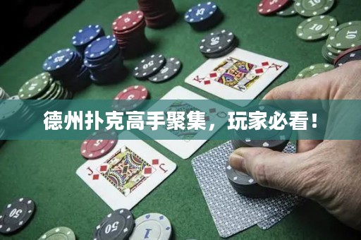 德州撲克高手聚集，玩家必看！